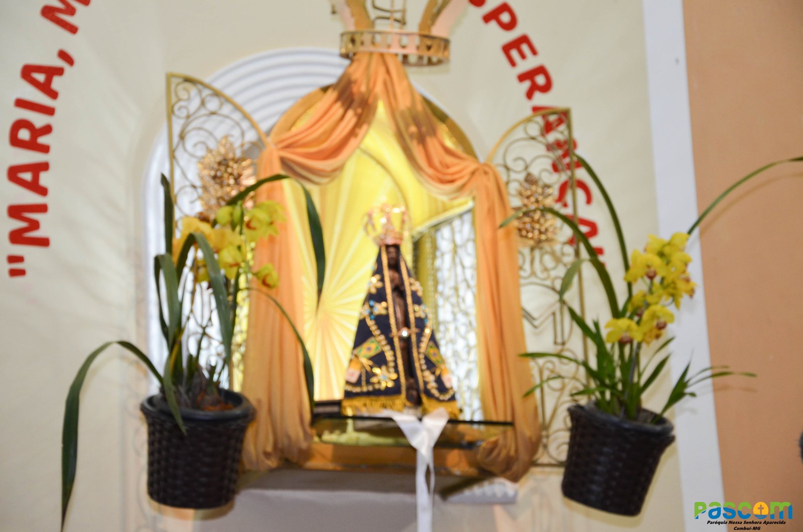 Festa Padroeira 2024 - 5º dia(03 outubro, quinta-feira), Presidiu: Pe.Samuel F. Gâmbara