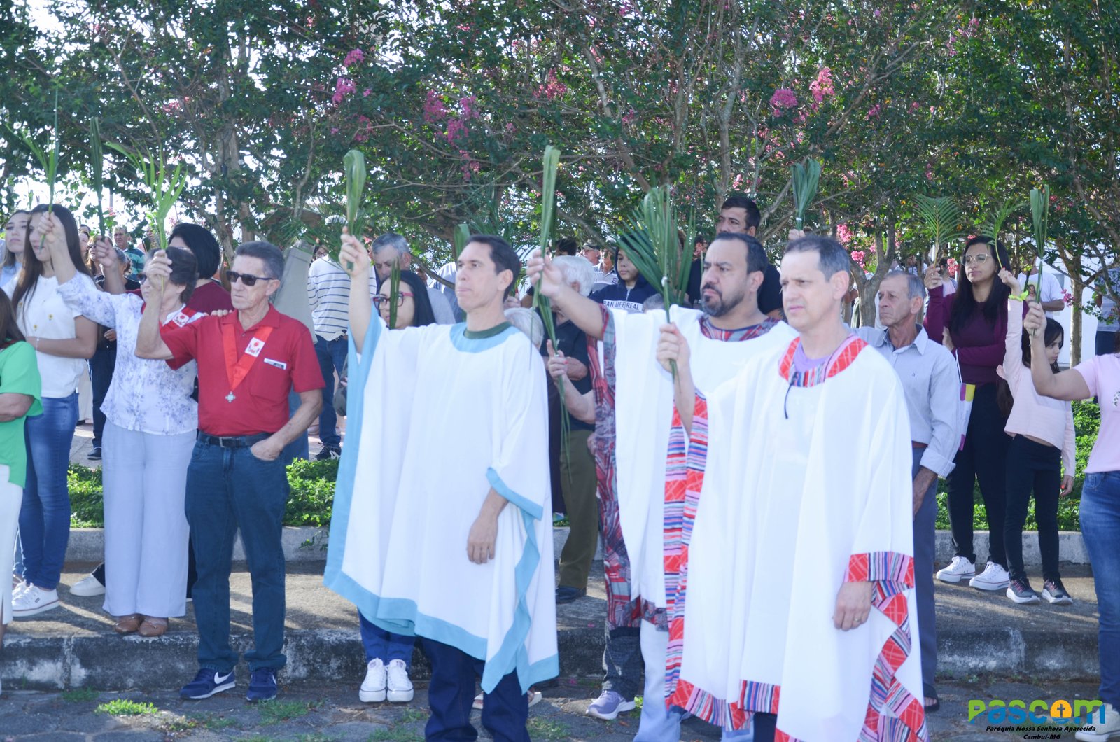 Domingo de Ramos 2025 - Procissão e missa