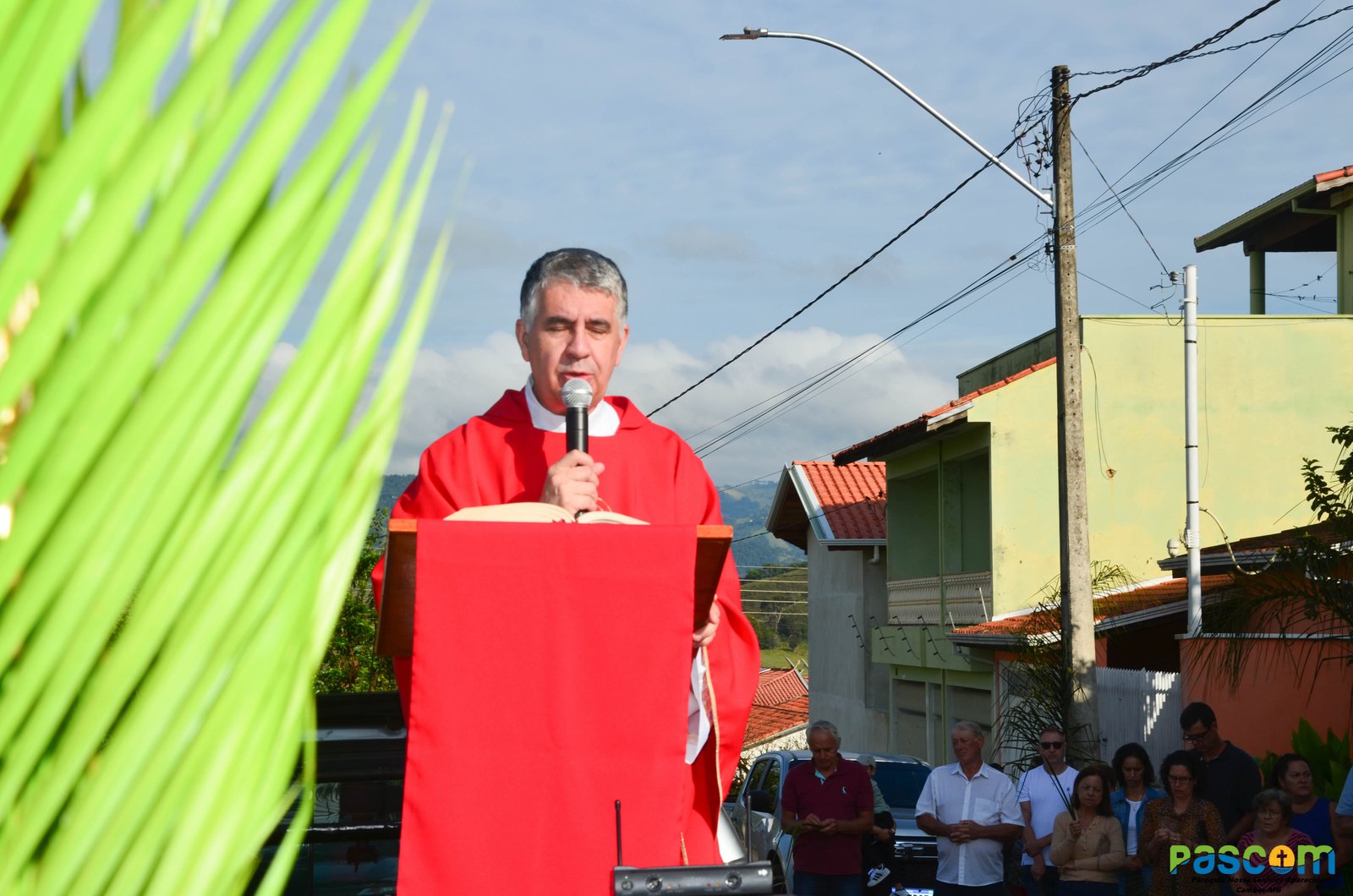 Domingo de Ramos 2025 - Procissão e missa