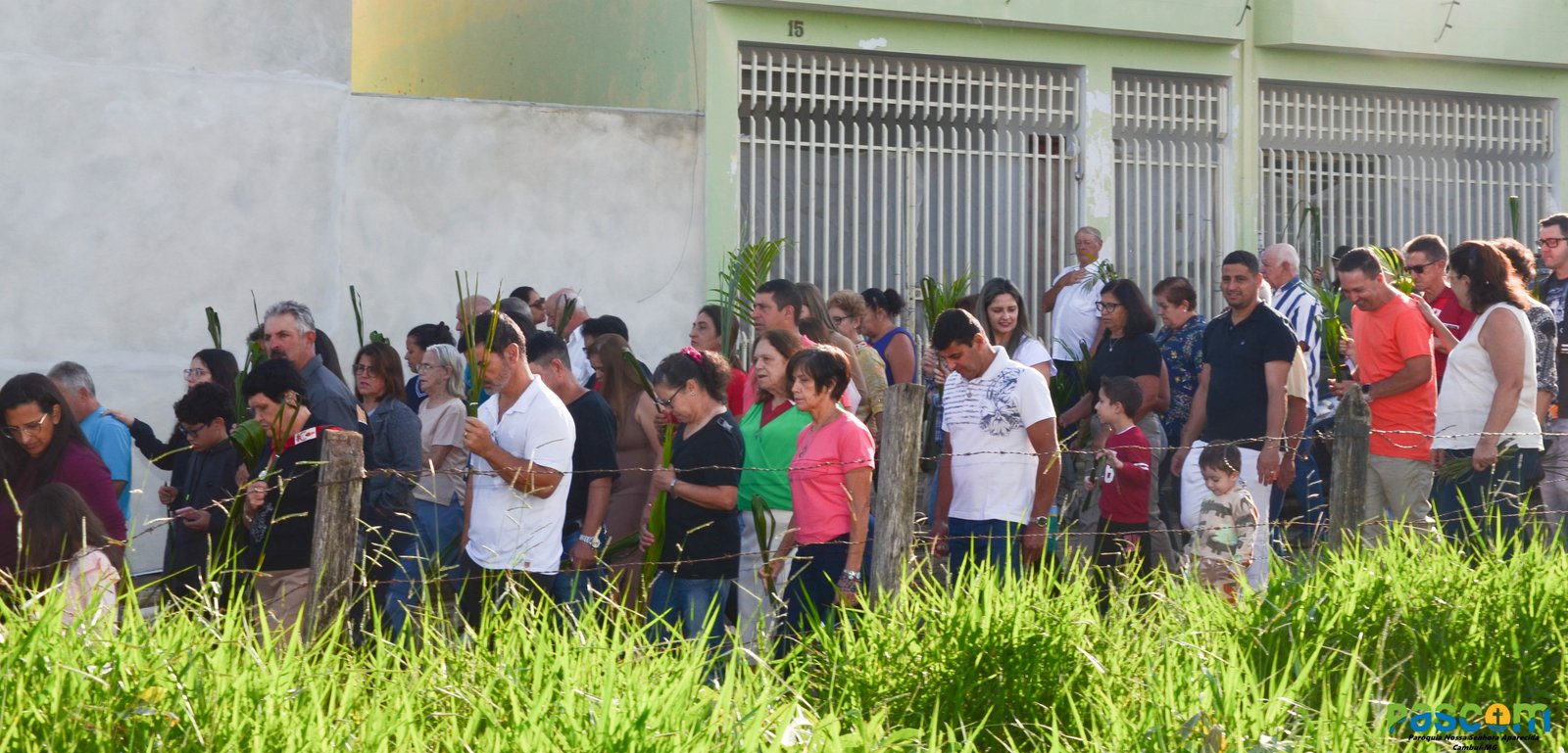 Domingo de Ramos 2025 - Procissão e missa