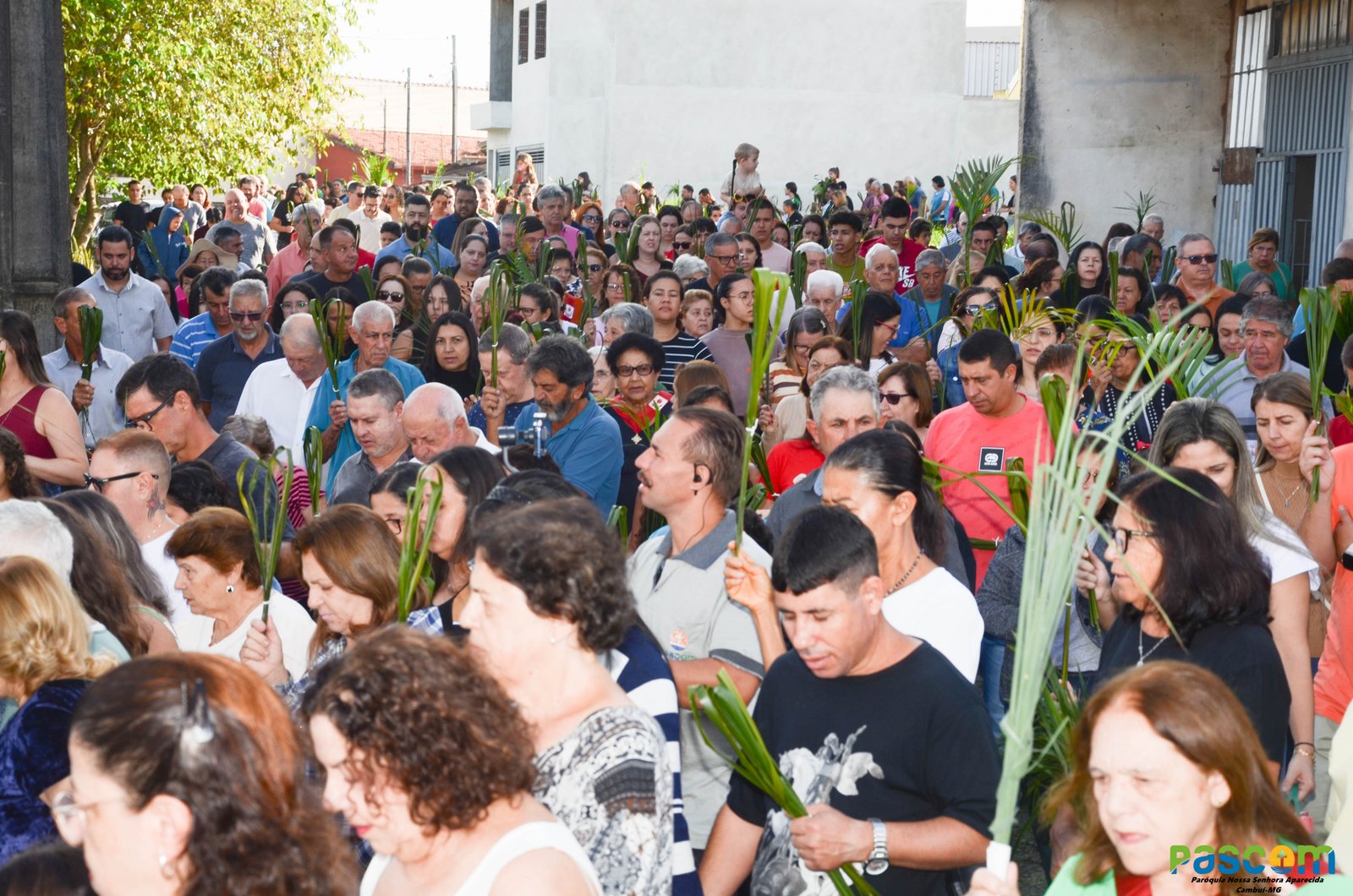 Domingo de Ramos 2025 - Procissão e missa