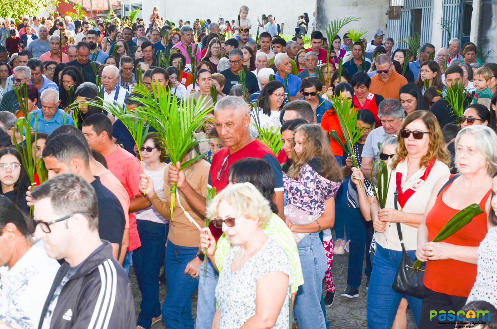 Domingo de Ramos 2025 - Procissão e missa