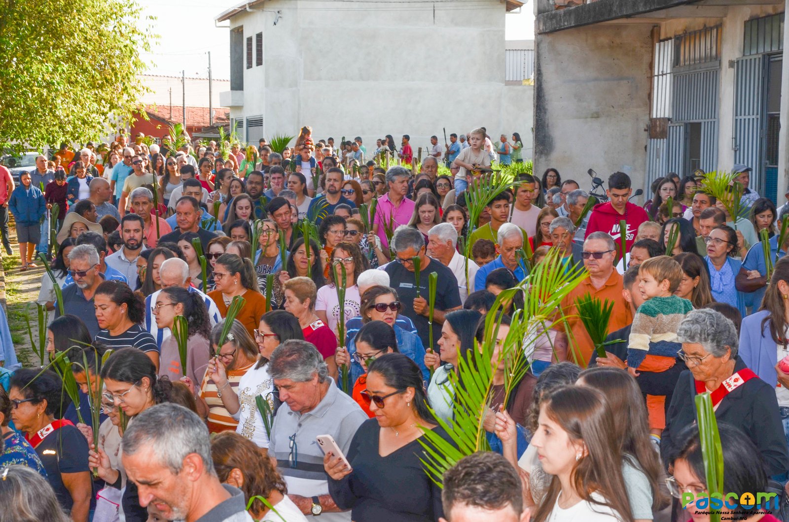 Domingo de Ramos 2025 - Procissão e missa