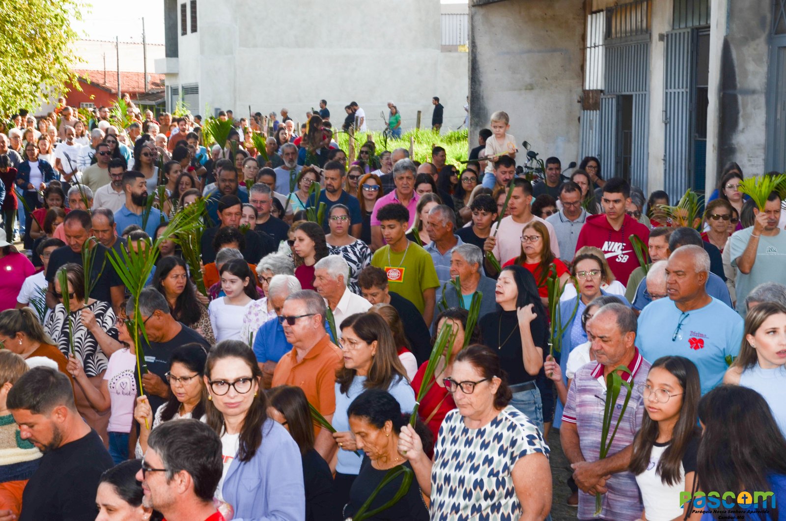 Domingo de Ramos 2025 - Procissão e missa