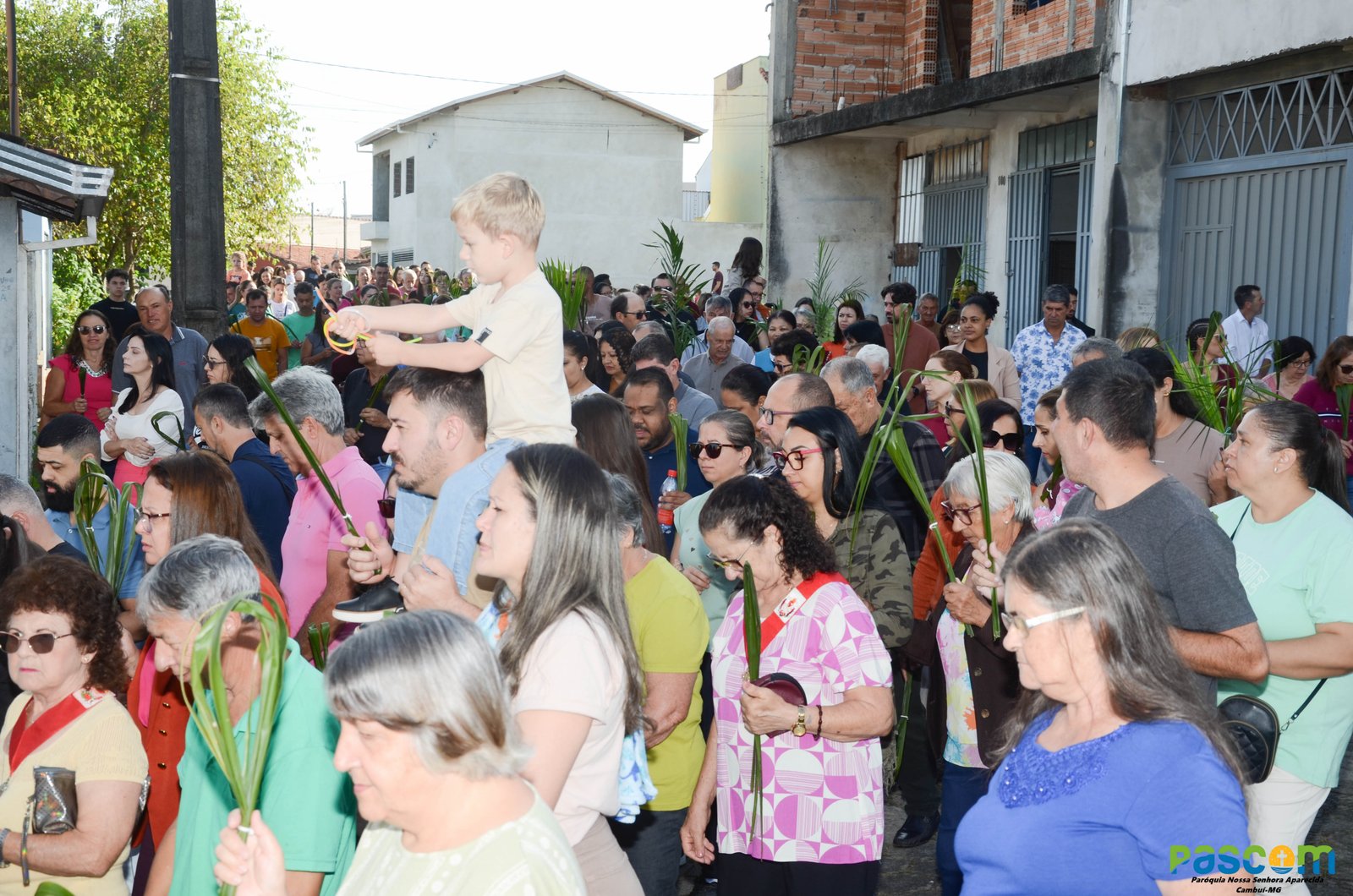 Domingo de Ramos 2025 - Procissão e missa