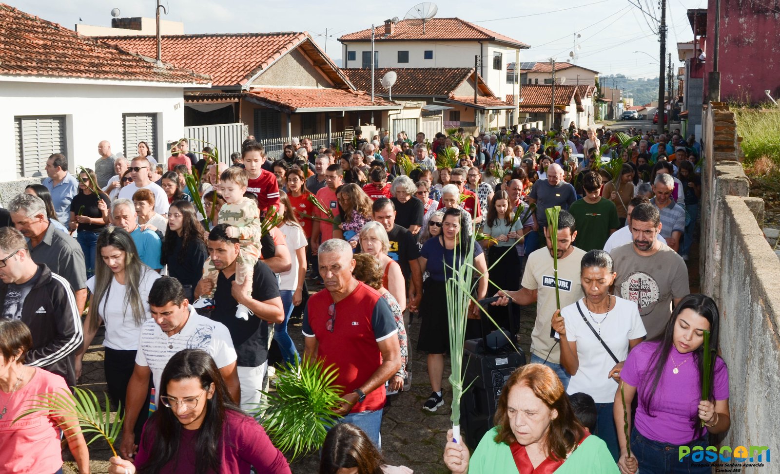 Domingo de Ramos 2025 - Procissão e missa