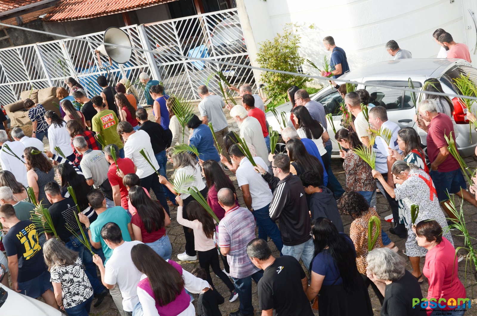 Domingo de Ramos 2025 - Procissão e missa