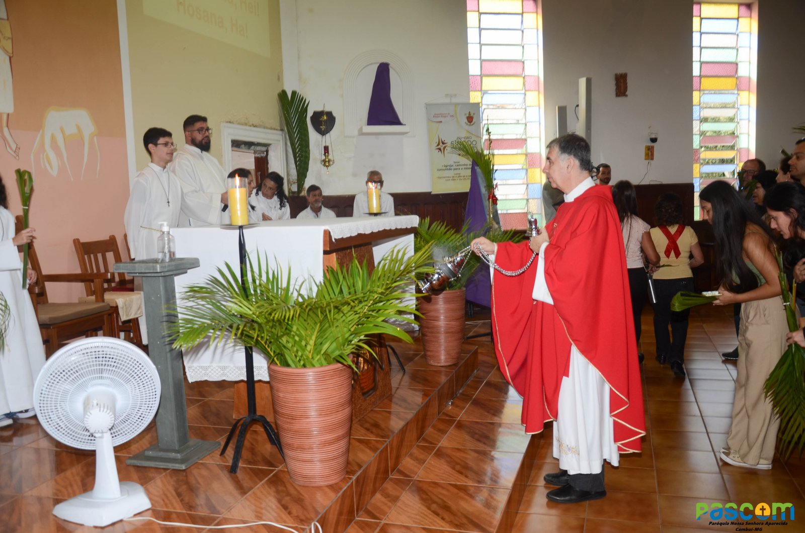 Domingo de Ramos 2025 - Procissão e missa