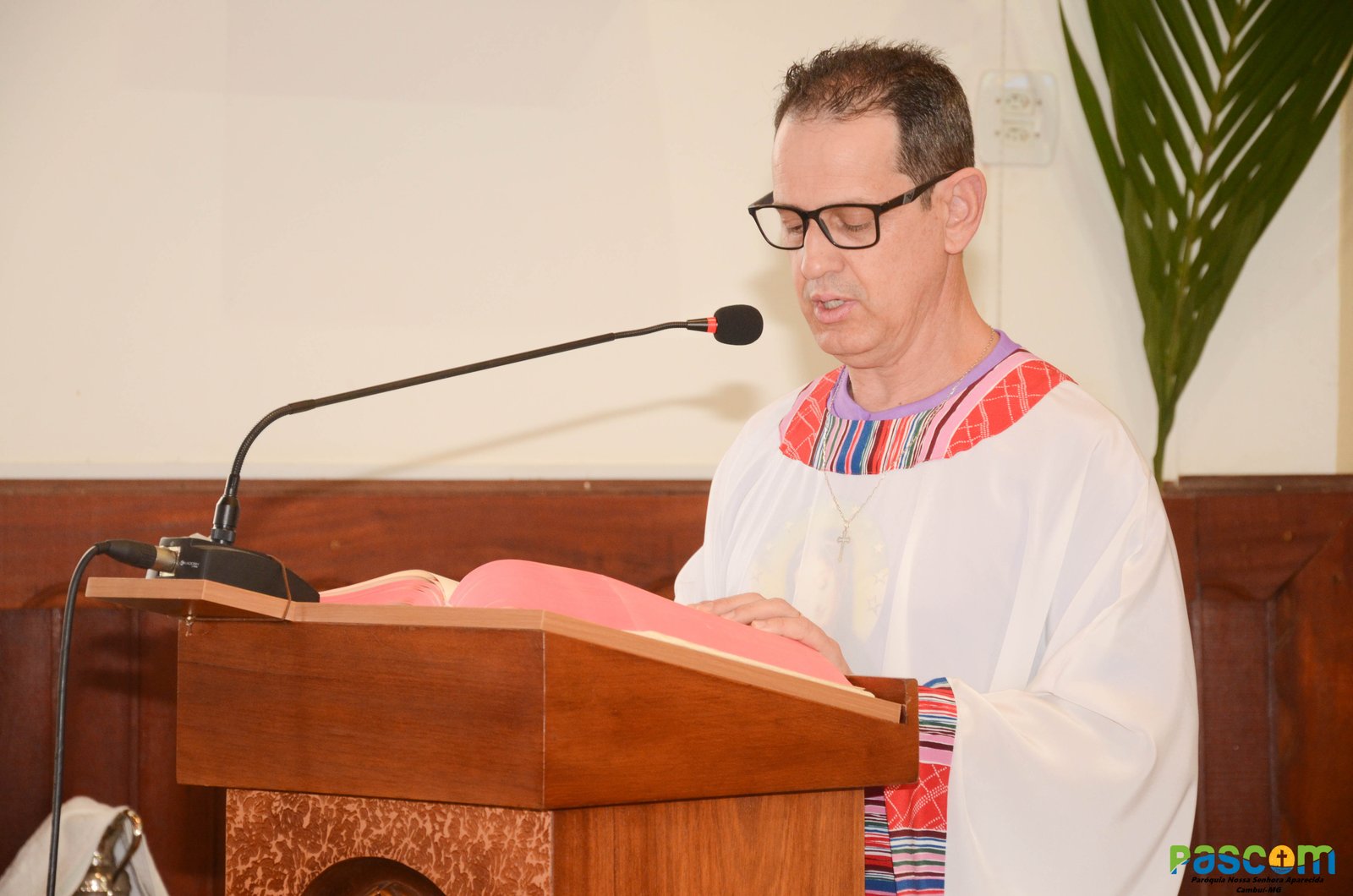 Domingo de Ramos 2025 - Procissão e missa