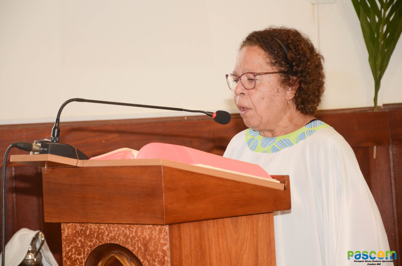 Domingo de Ramos 2025 - Procissão e missa