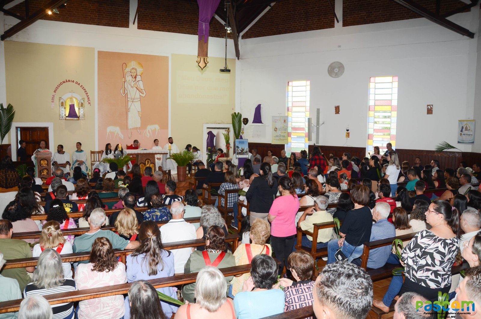 Domingo de Ramos 2025 - Procissão e missa