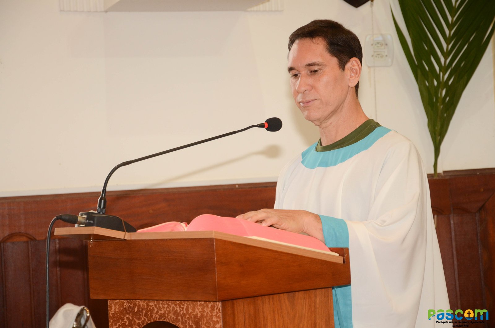 Domingo de Ramos 2025 - Procissão e missa