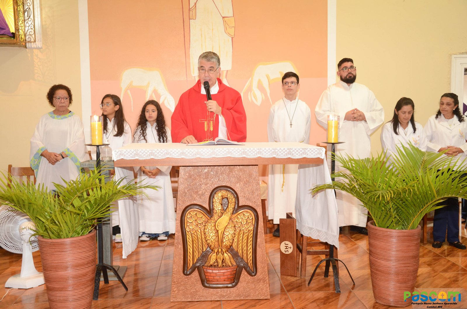 Domingo de Ramos 2025 - Procissão e missa