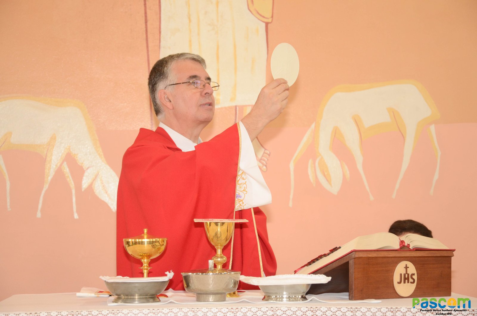 Domingo de Ramos 2025 - Procissão e missa