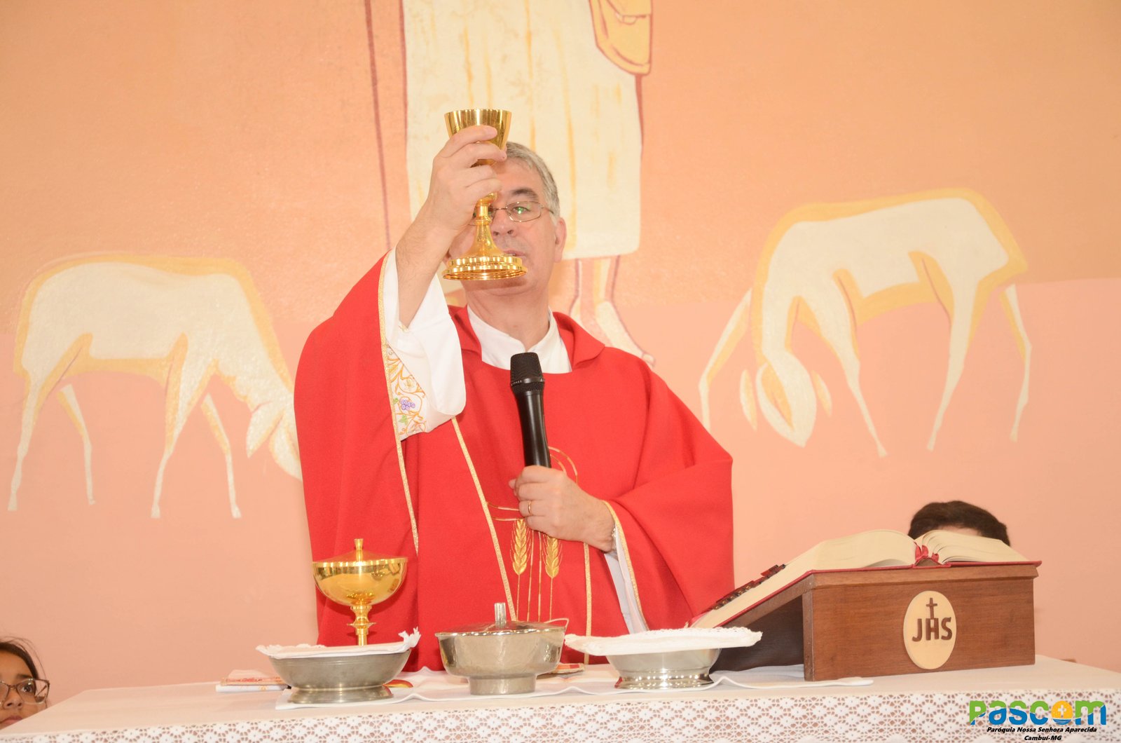 Domingo de Ramos 2025 - Procissão e missa