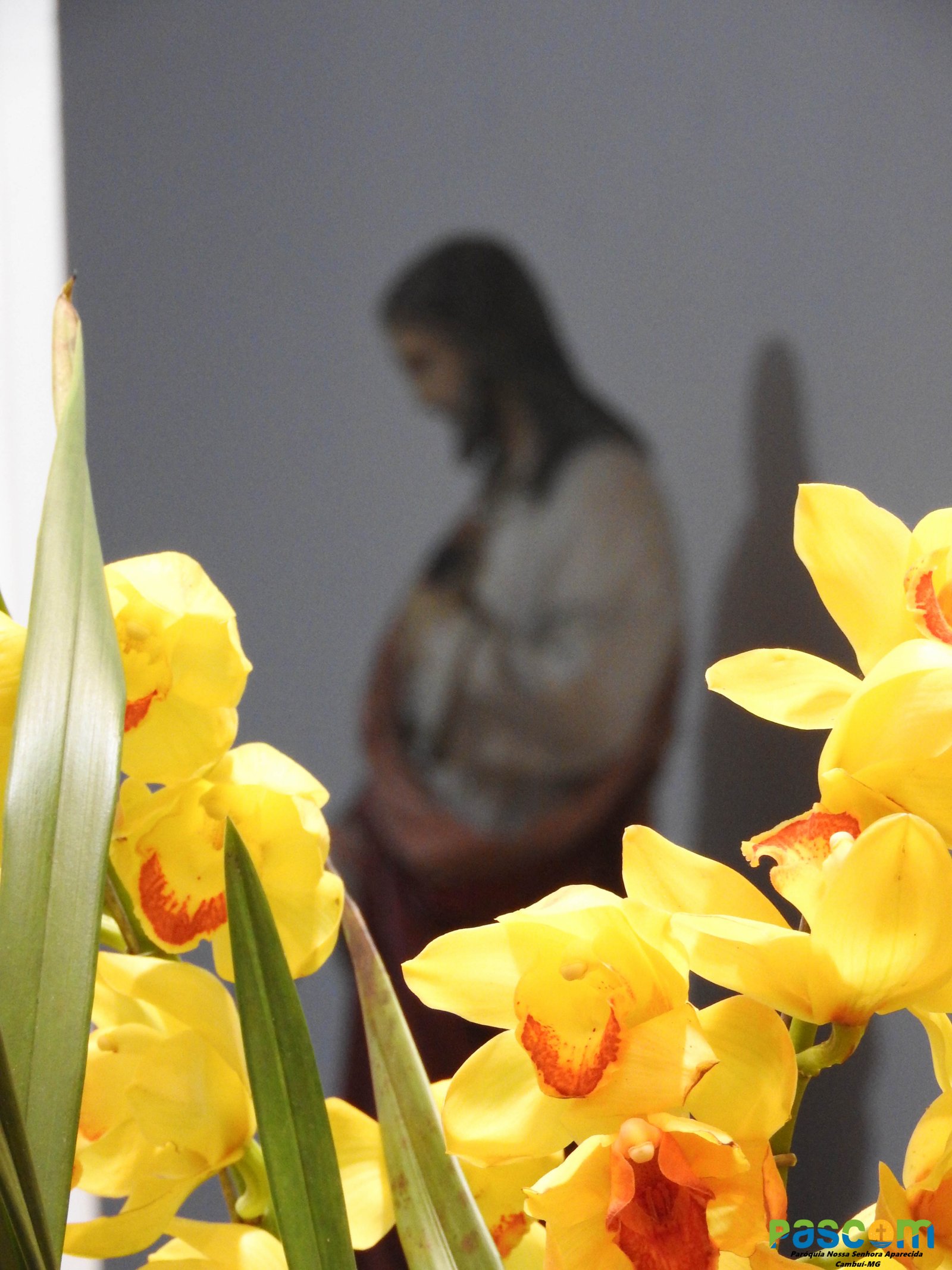 Festa Padroeira 2024 - 3º dia, Presidiu: Pe. Francisco C. Neto