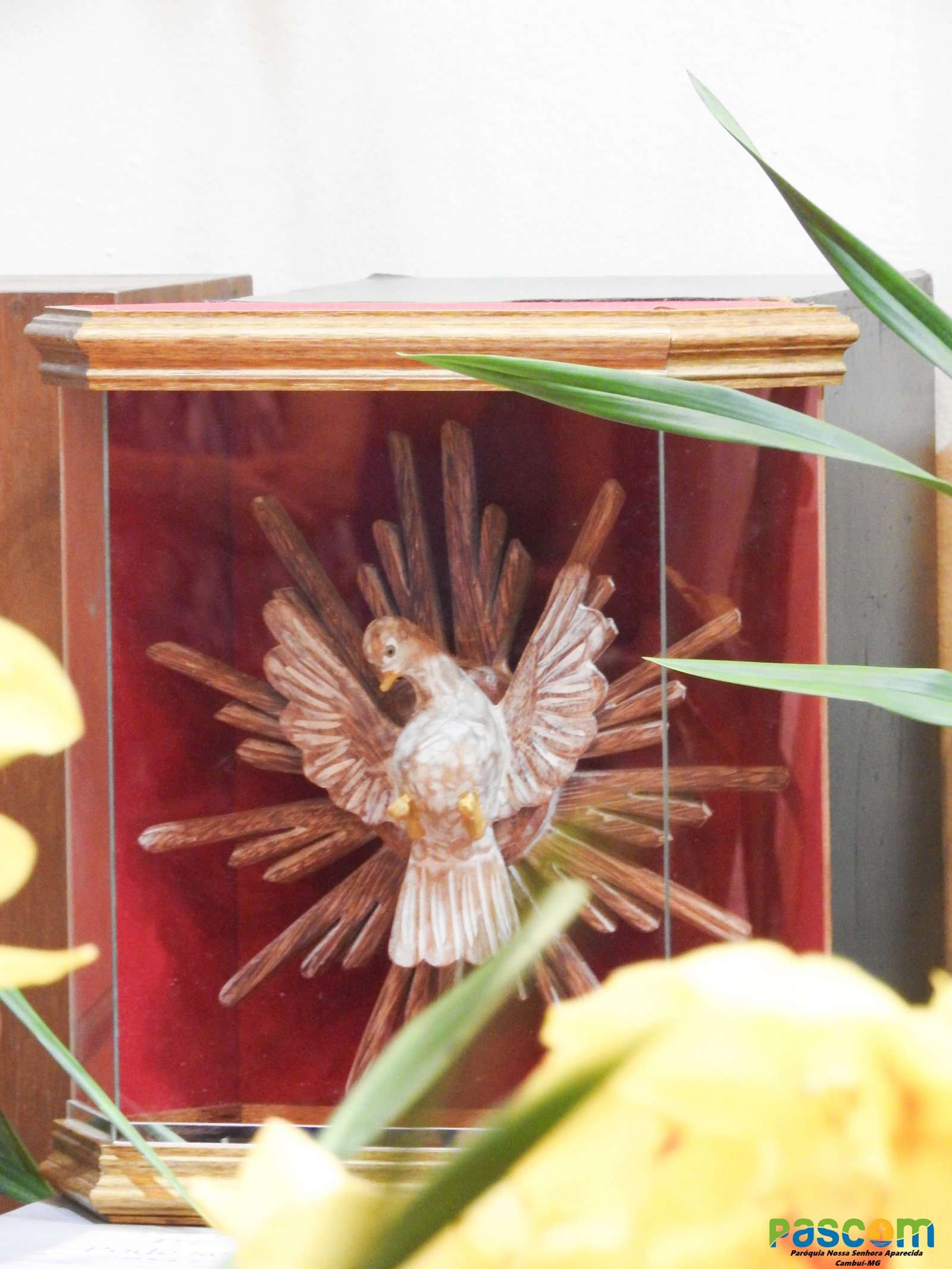 Festa Padroeira 2024 - 3º dia, Presidiu: Pe. Francisco C. Neto