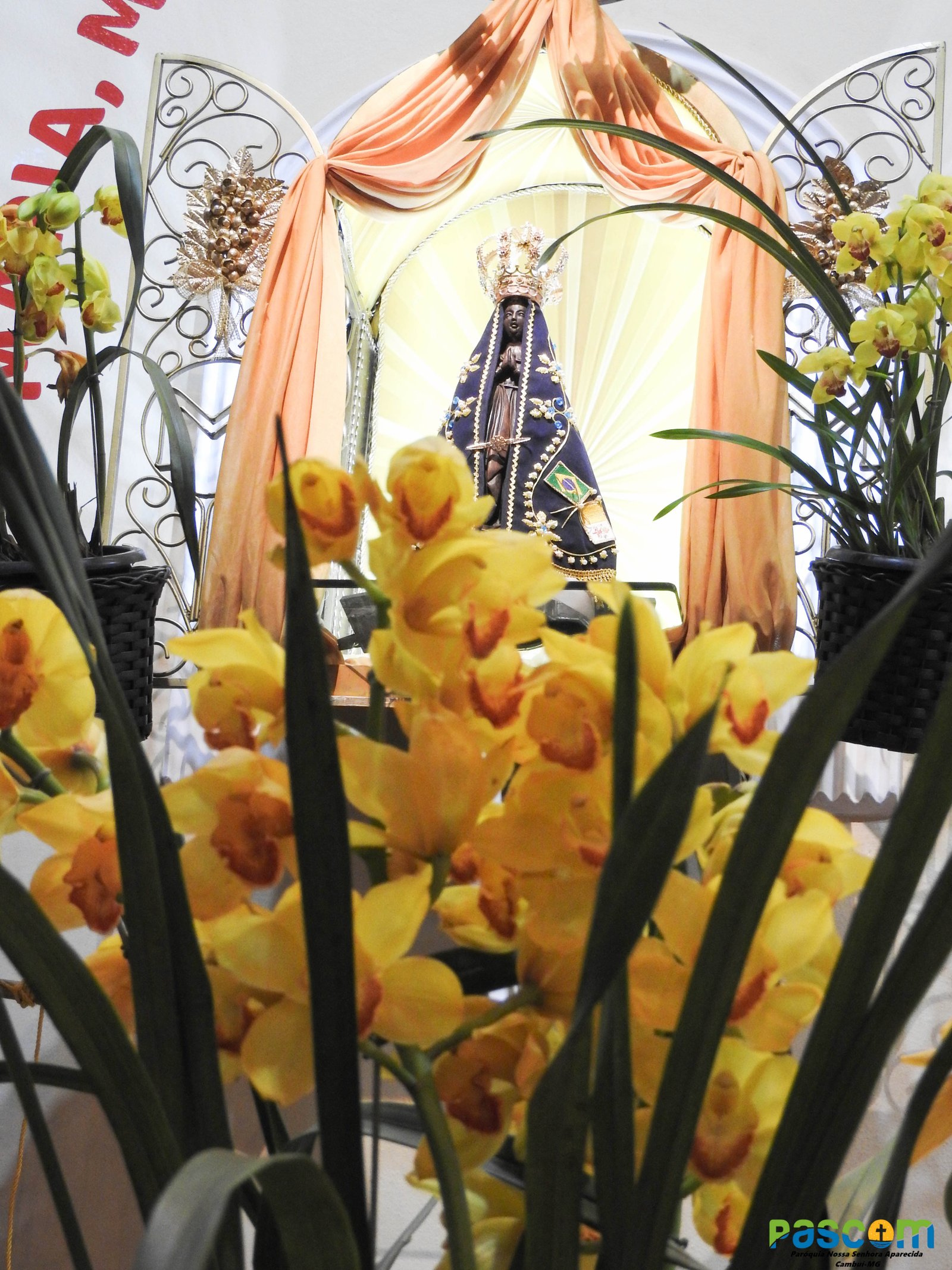 Festa Padroeira 2024 - 3º dia, Presidiu: Pe. Francisco C. Neto